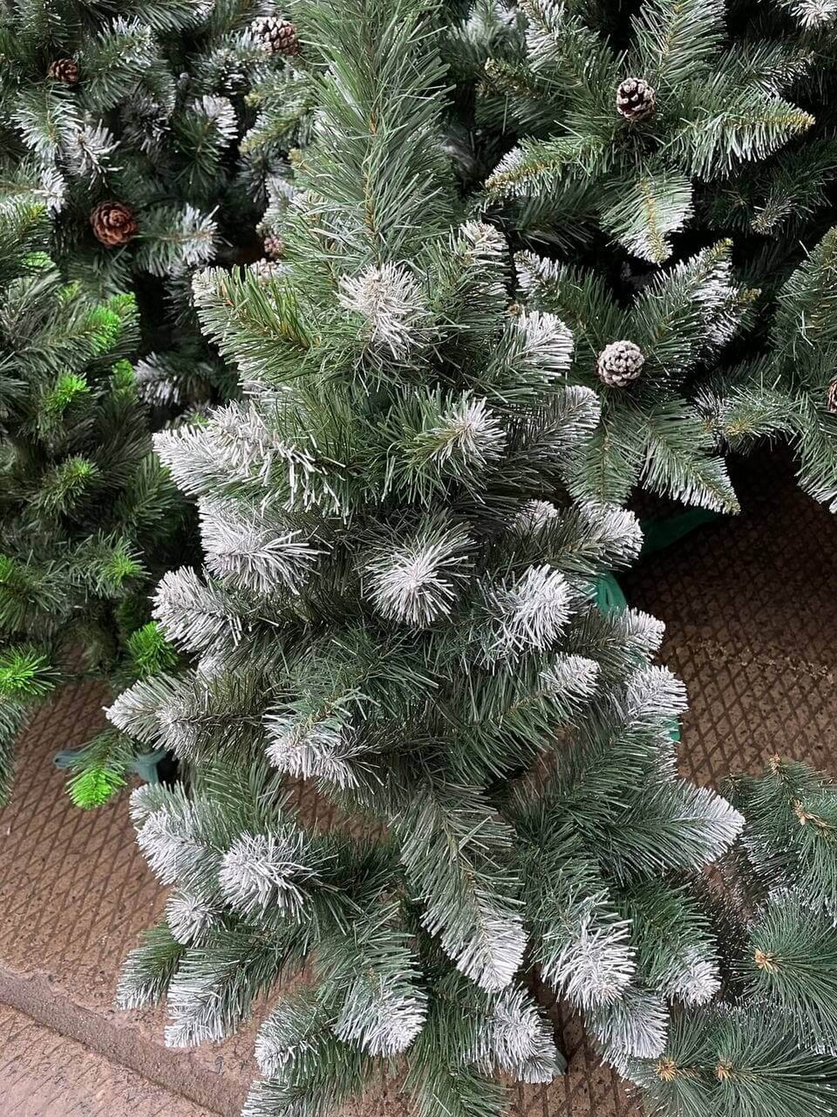 Искусственная Ель Королева с белыми кончиками 1,8 м