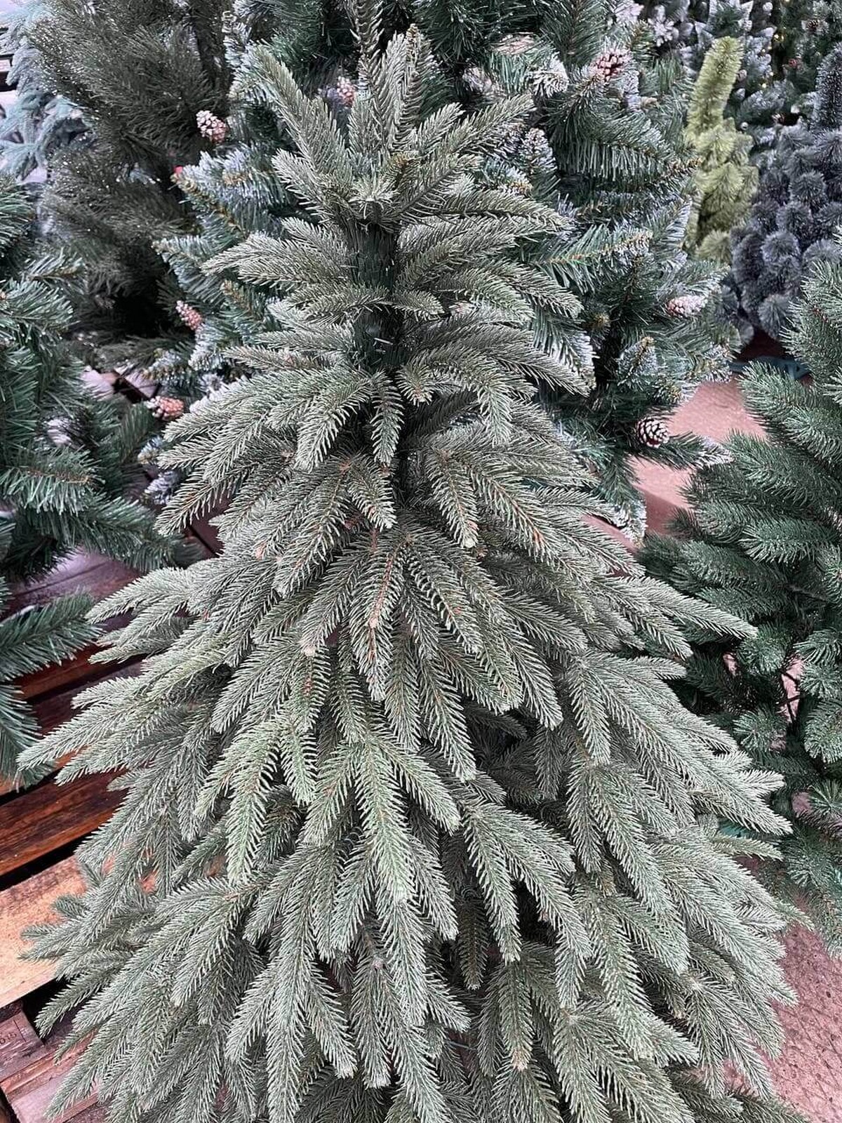 Штучна Ялинка Карпатська смерека 2,5 м